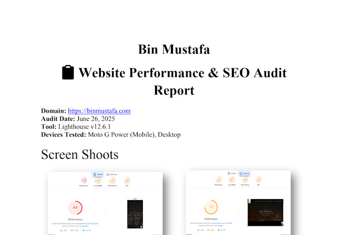 prepare an audit report, identify SEO issues, and provide an action plan